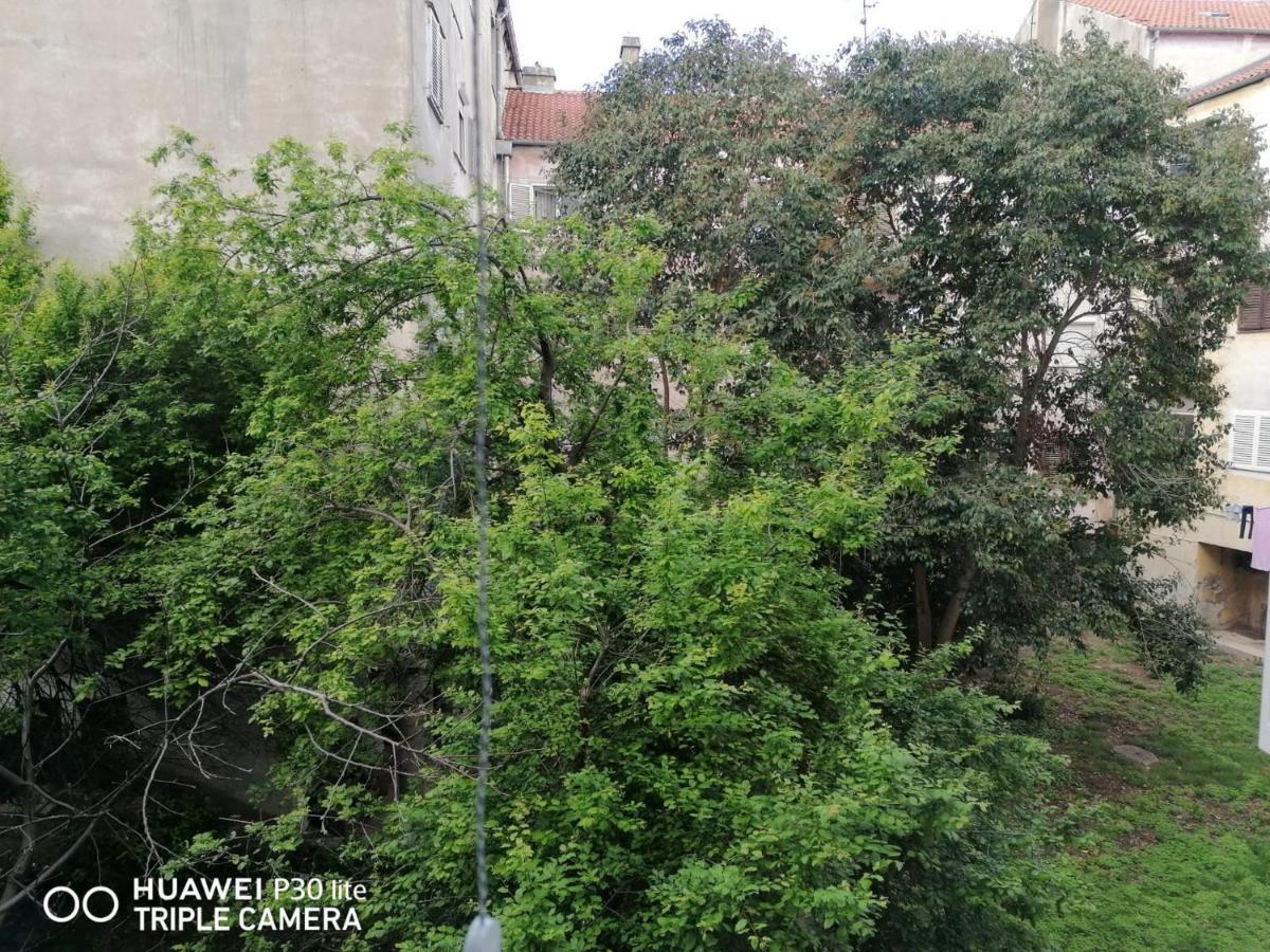 Apartment Linda - Zadar City Center מראה חיצוני תמונה